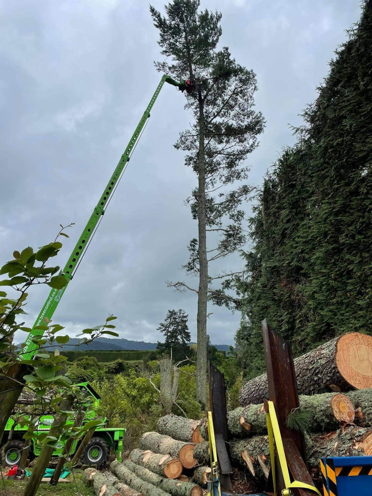 About Us | Our Team & Expertise in NZ | Tree Control